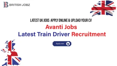 Avanti Jobs